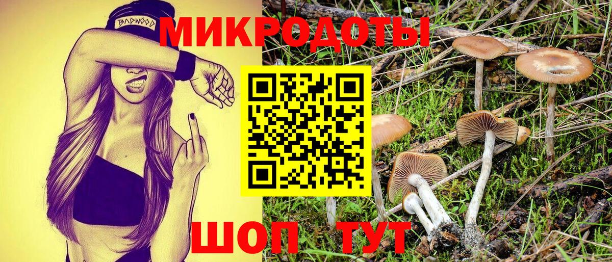 Псилоцибиновые грибы MAGIC MUSHROOMS Курган