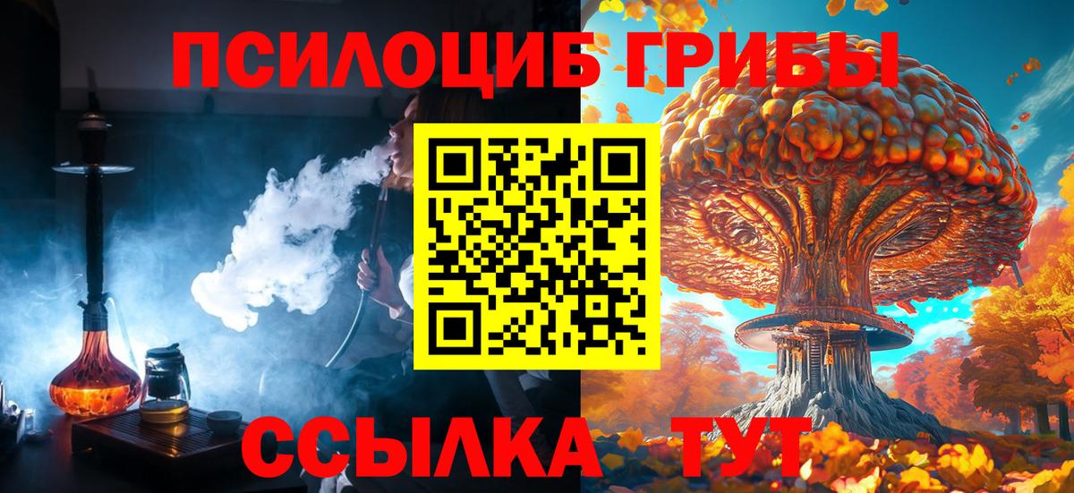 купить наркотики цена  Галлюциногенные грибы Magic Shrooms  Вход с VPN  Курган 